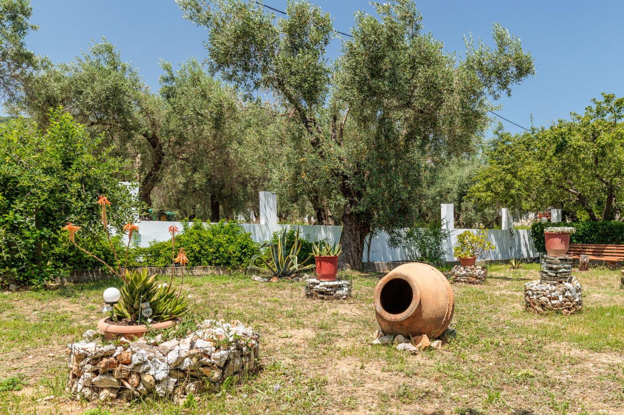 Panagou Studios Skopelos Zewnętrze zdjęcie